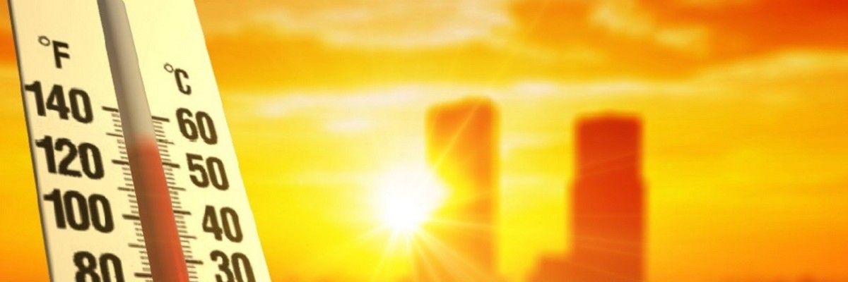 Isı Stresi Uyarısı