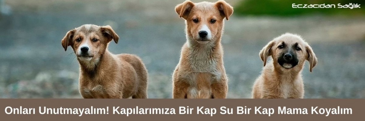 Onları Unutmayalım