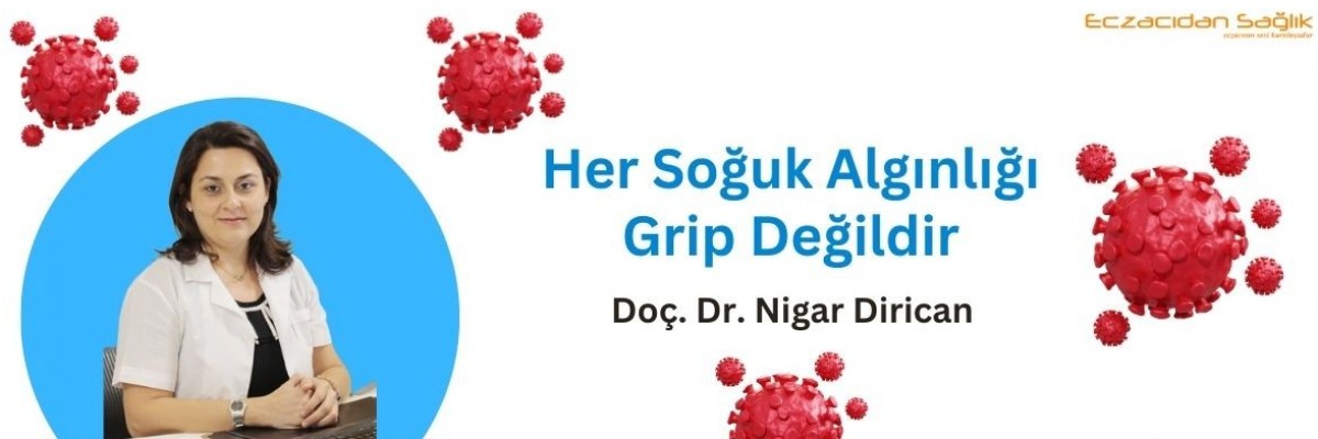 Her Soğuk Algınlığı Grip Değildir