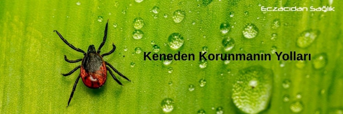 Keneden Korunmanın Yolları